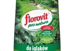 Do Iglaków