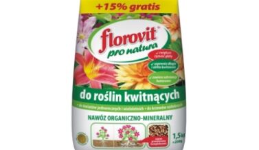 Do Roślin Kwitnących