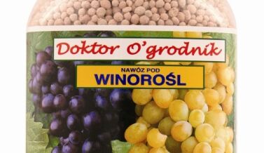 Do Winorośli