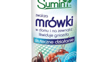 Mrówki