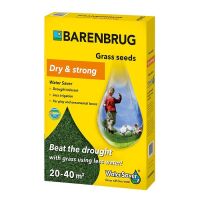 Trawa Barenbrug Odporna na Suszę Water Saver Dry & Strong 1kg Wysyłka 24h