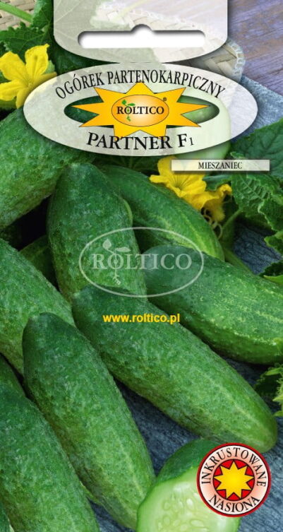 Ogórek gruntowy konserwowy PARTENOKARPICZNY-PARTNER F1 - 3g (Cucumis sativus)