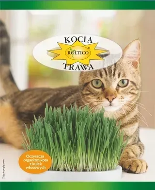 Kocia Trawa 25g Roltico