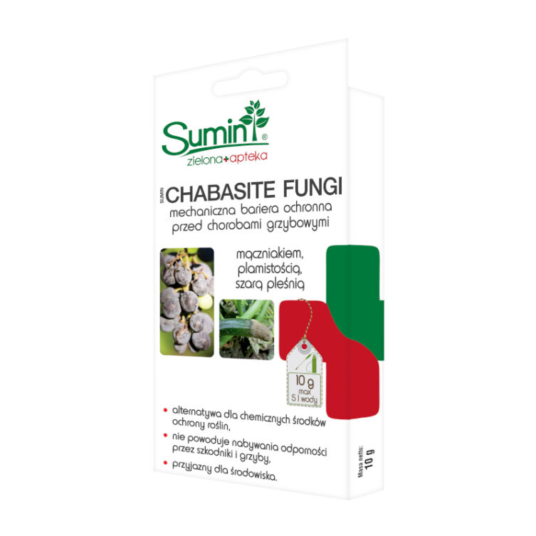 Sumin Chabasite FUNGI 10g