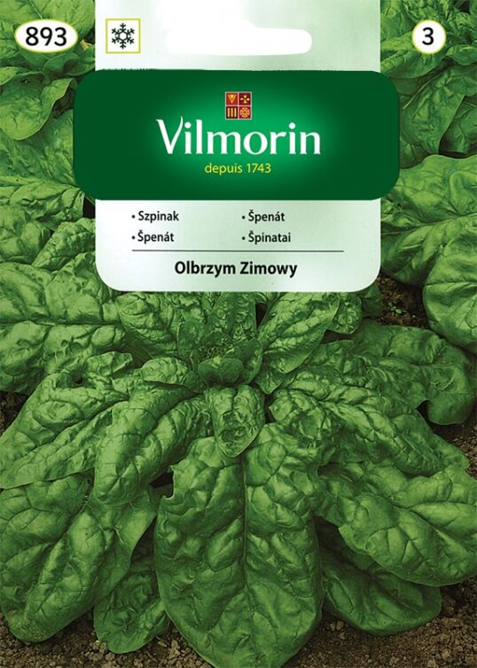 Szpinak olbrzym zimowy Vilmorin 20g