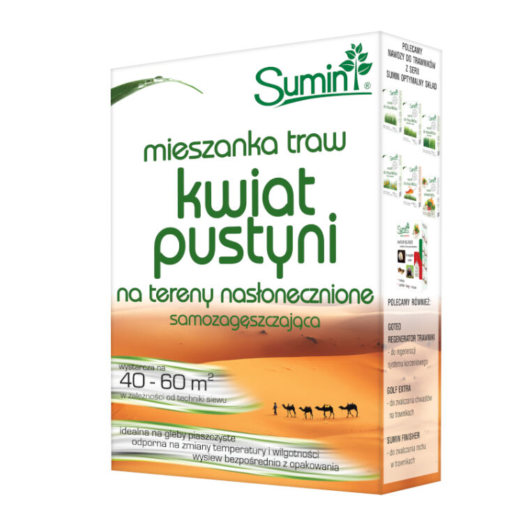 Mieszanka traw KWIAT PUSTYNI 1 kg