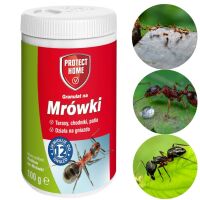 Proszek przeciwko mrówkom Protect Garden 100g