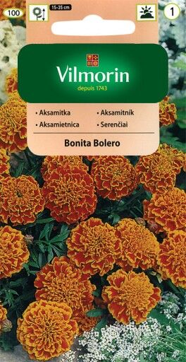 Aksamitka rozpierzchła-pełna pomarańczowo-mahoniowa Bonita Bolero 1g 