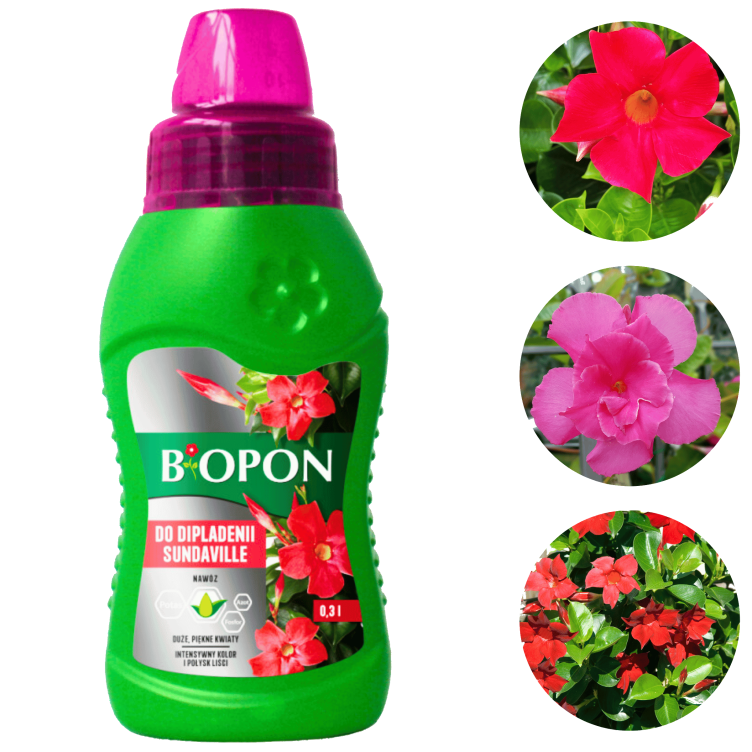 Nawóz Biopon do Dipladenii Sundaville płyn 0,3 kg – intensywne kwitnienie