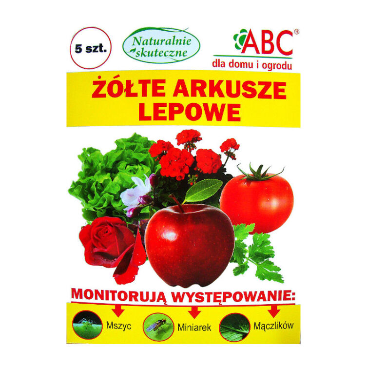 Tablice żółte Lepowe ABC 5 szt.