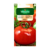 Pomidor szklarniowy Perkoz F1 0,2g Vilmorin