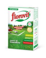 Florovit mistrzowski trawnik karton 1kg