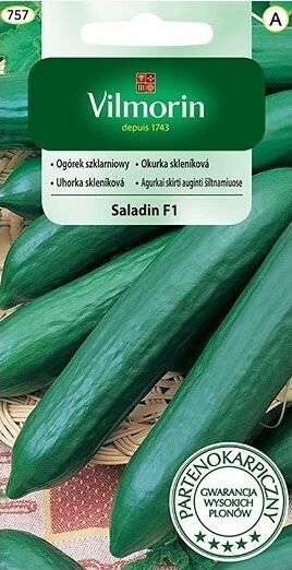 Ogórek szklarniowy Saladin F1 0,8g Vilmorin