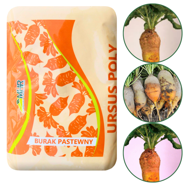 Burak pastewny wielokiełkowy Ursus Poly 500g – kwalifikat C1