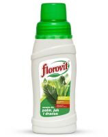 Florovit nawóz do palm  juk i paproci 250ml