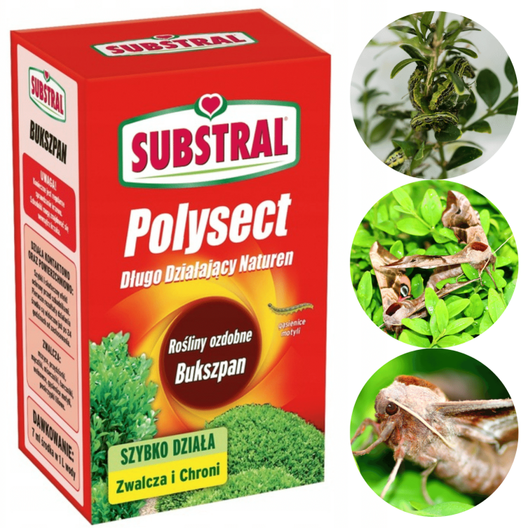 Polysect BUKSZPAN 100ml Substral na Ćmę Bukszpanową