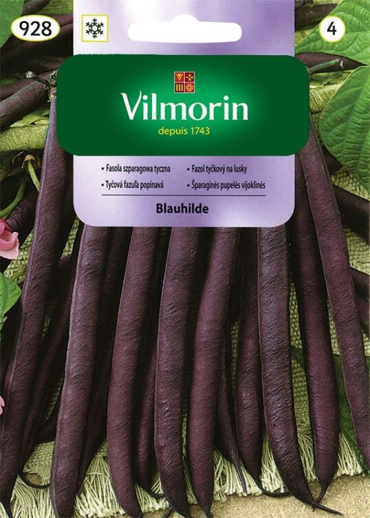 Fasola szparagowa Blauhilde Vilmorin 10g