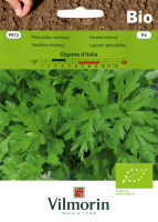 Pietruszka naciowa Gigante d"Italia - nasiona ekologiczne BIO