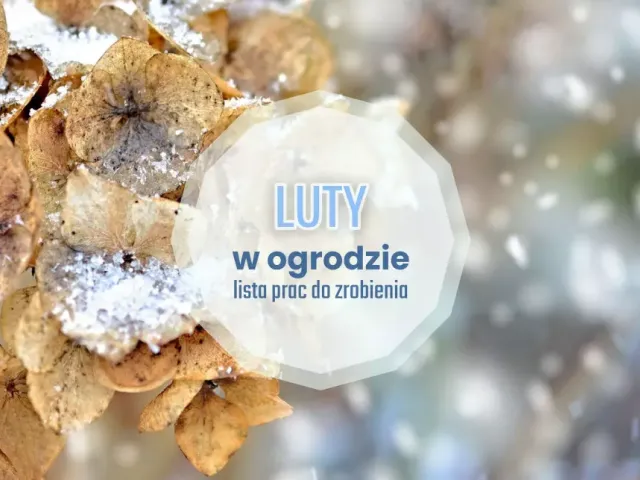 Luty w ogrodzie w pigułce