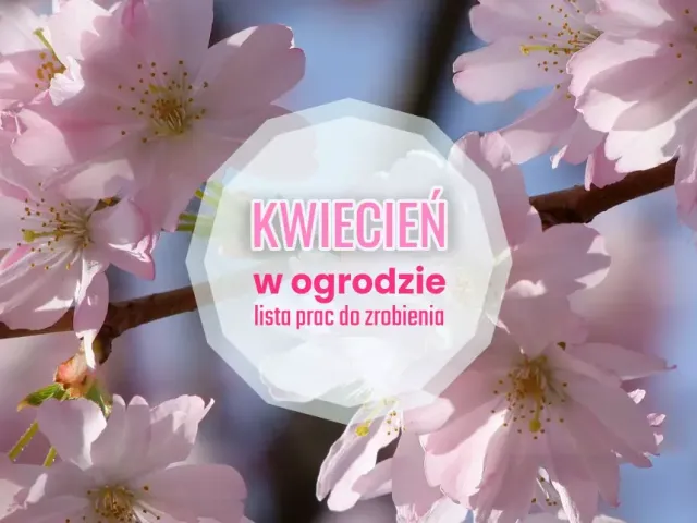 Kwiecień w ogrodzie ? co robić? | Lista prac do zrobienia